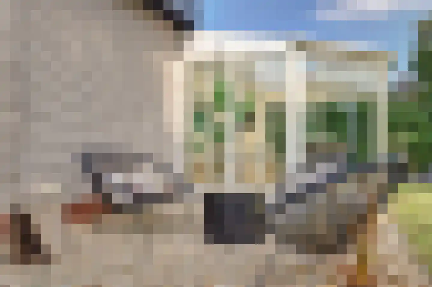 Speenkruidwei 36 Kortgene thumbnail 25