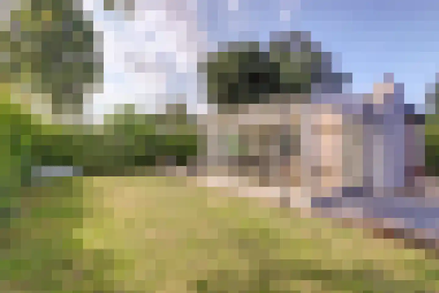 Speenkruidwei 36 Kortgene thumbnail 27