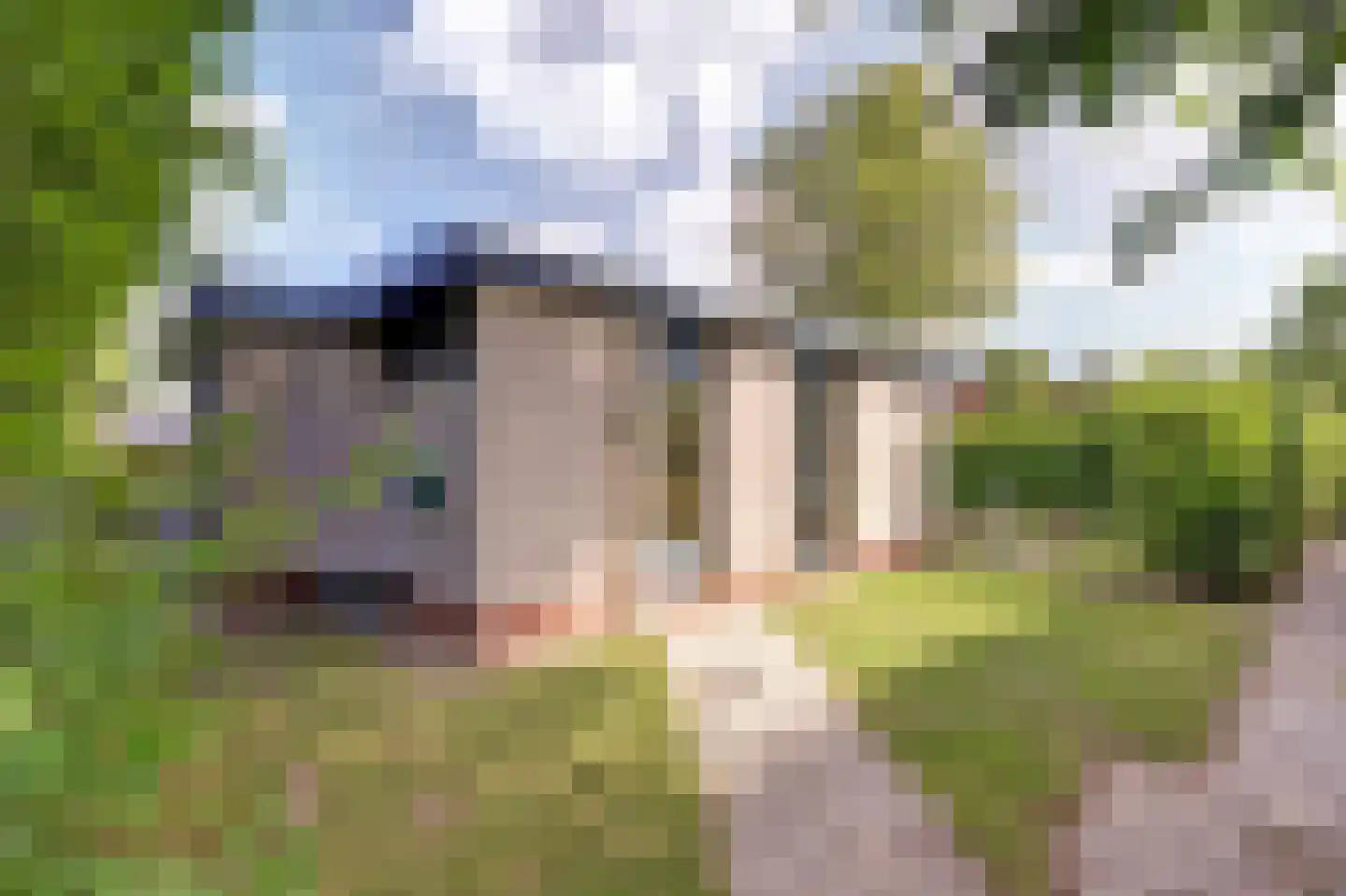 Speenkruidwei 36 Kortgene thumbnail 29