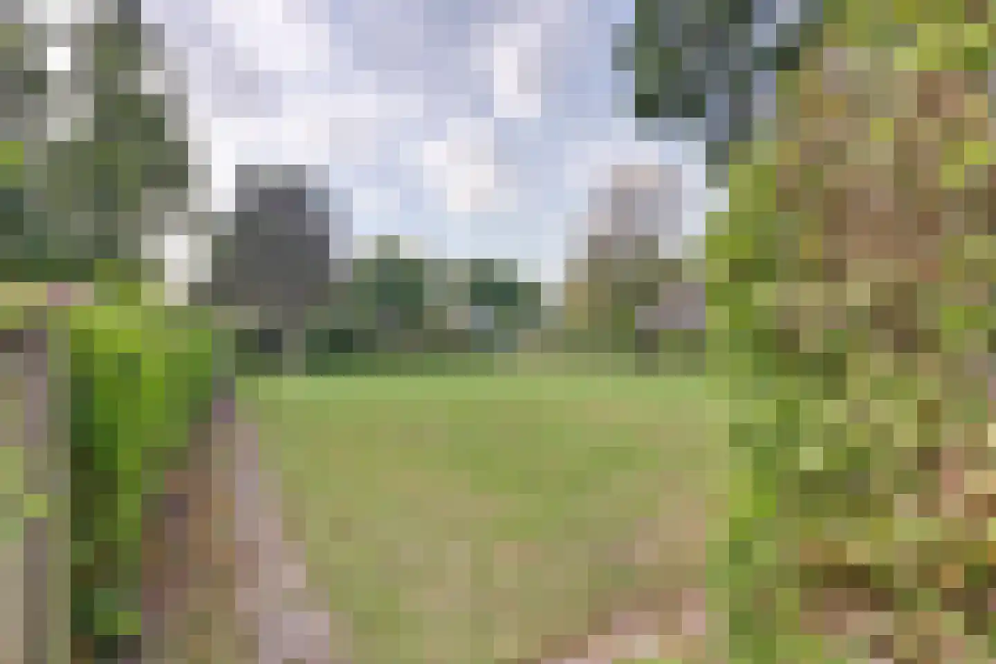 Speenkruidwei 36 Kortgene thumbnail 30
