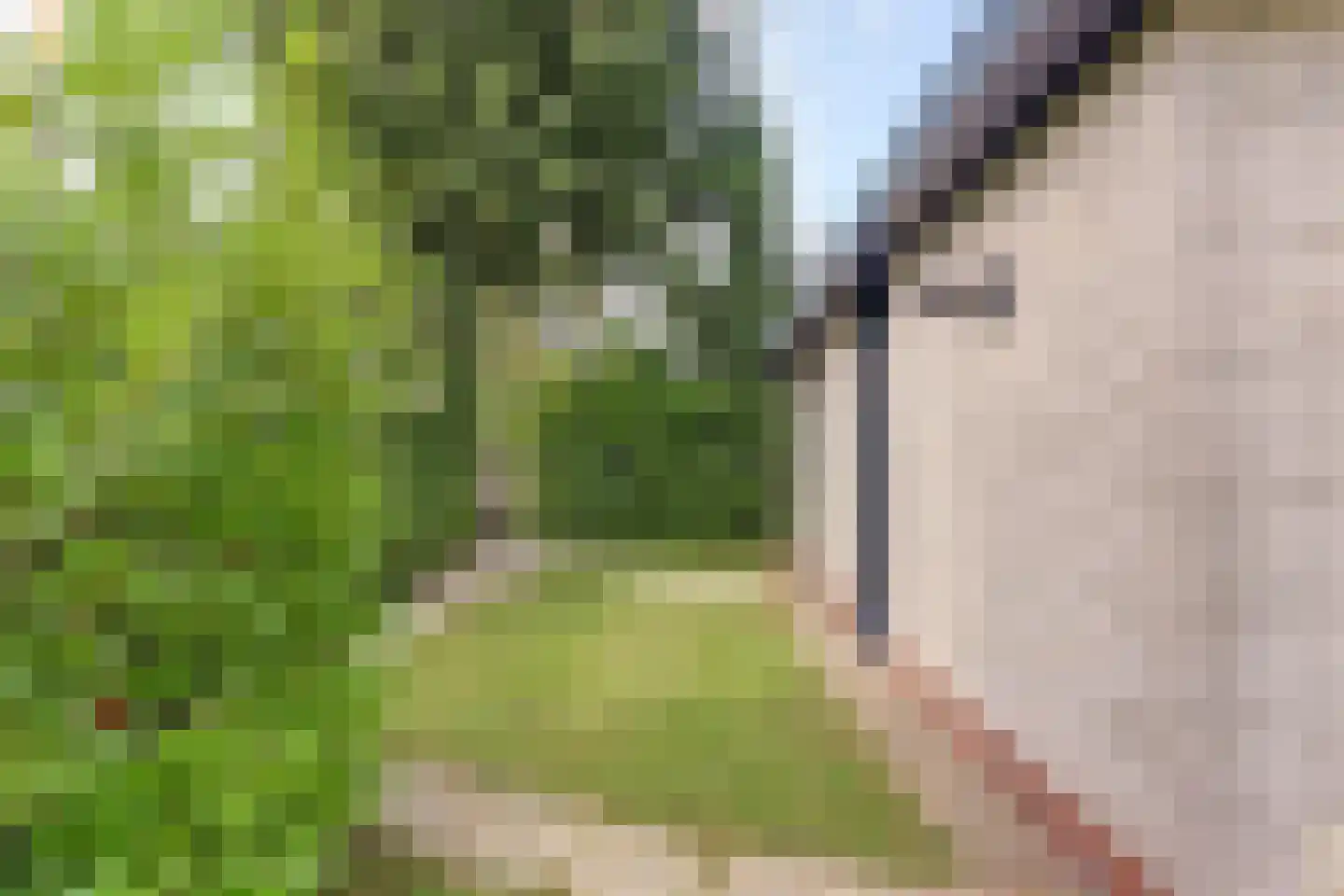 Speenkruidwei 36 Kortgene thumbnail 31