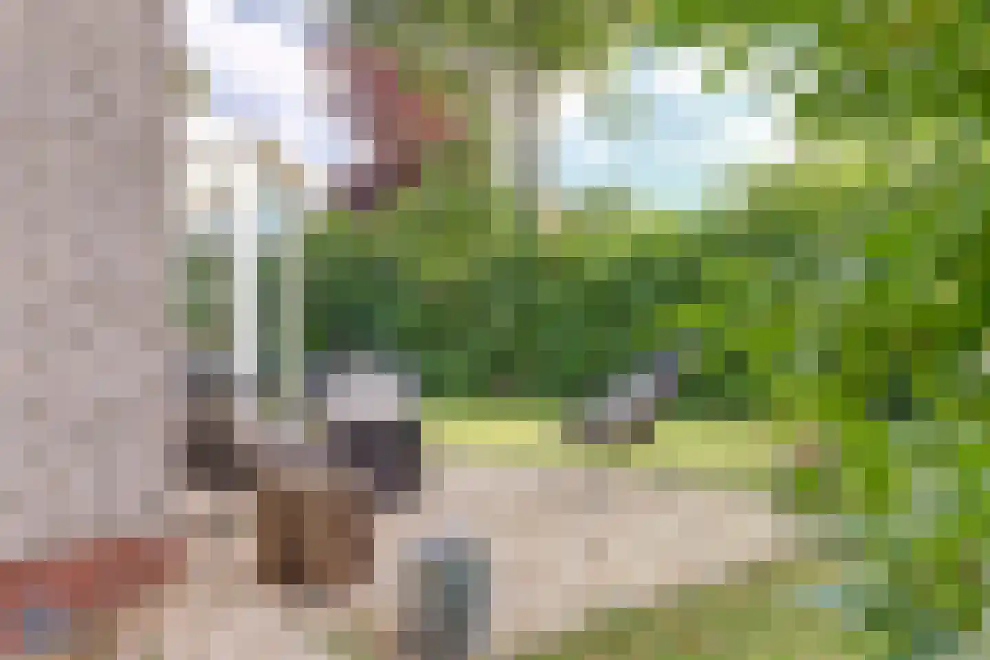 Speenkruidwei 36 Kortgene thumbnail 32