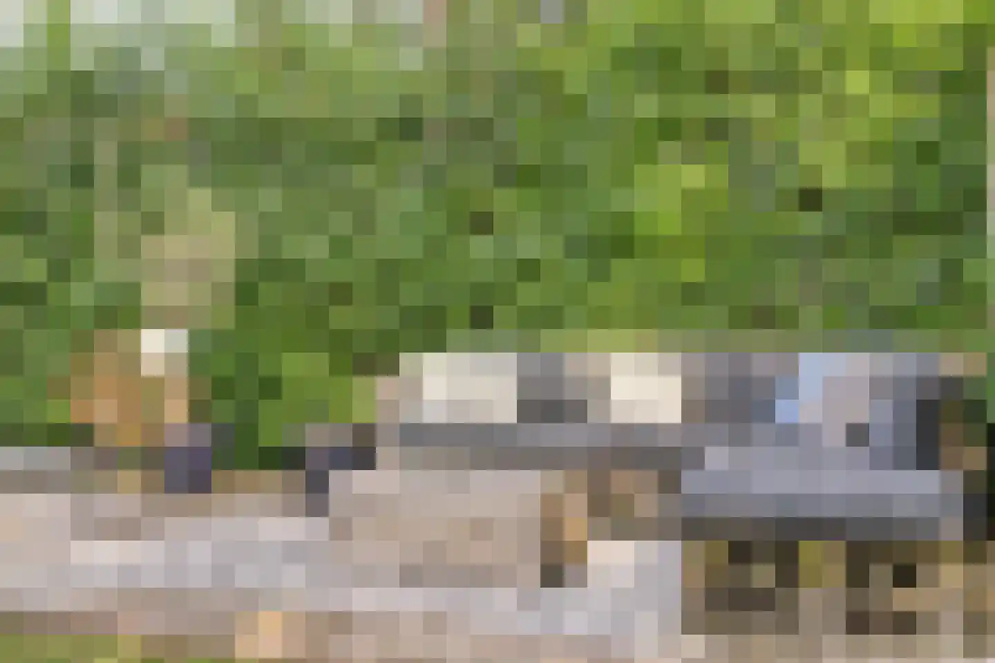 Speenkruidwei 36 Kortgene thumbnail 33