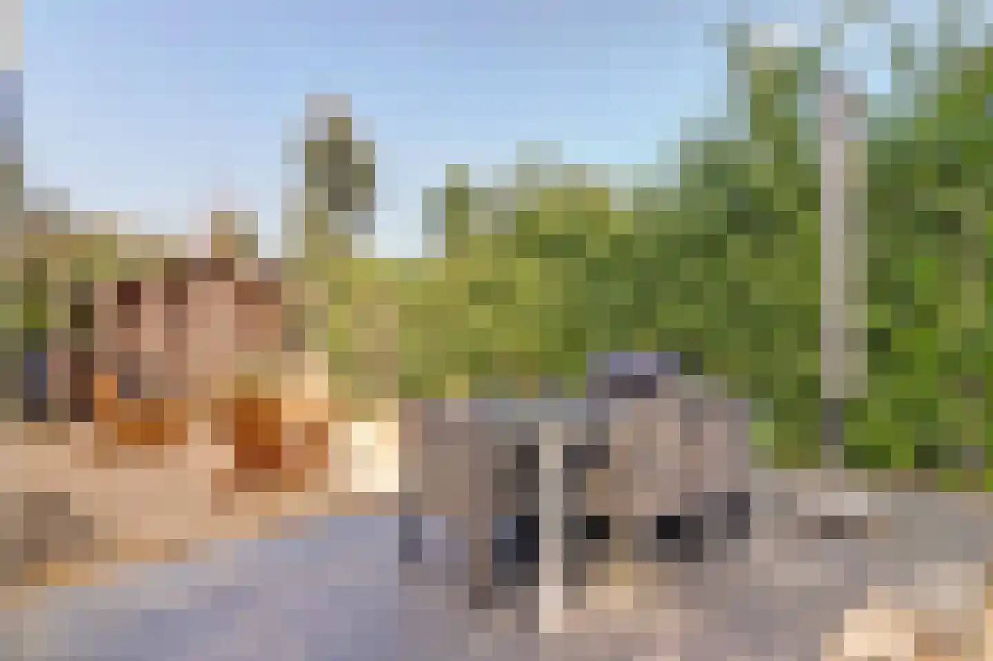 Speenkruidwei 36 Kortgene thumbnail 35