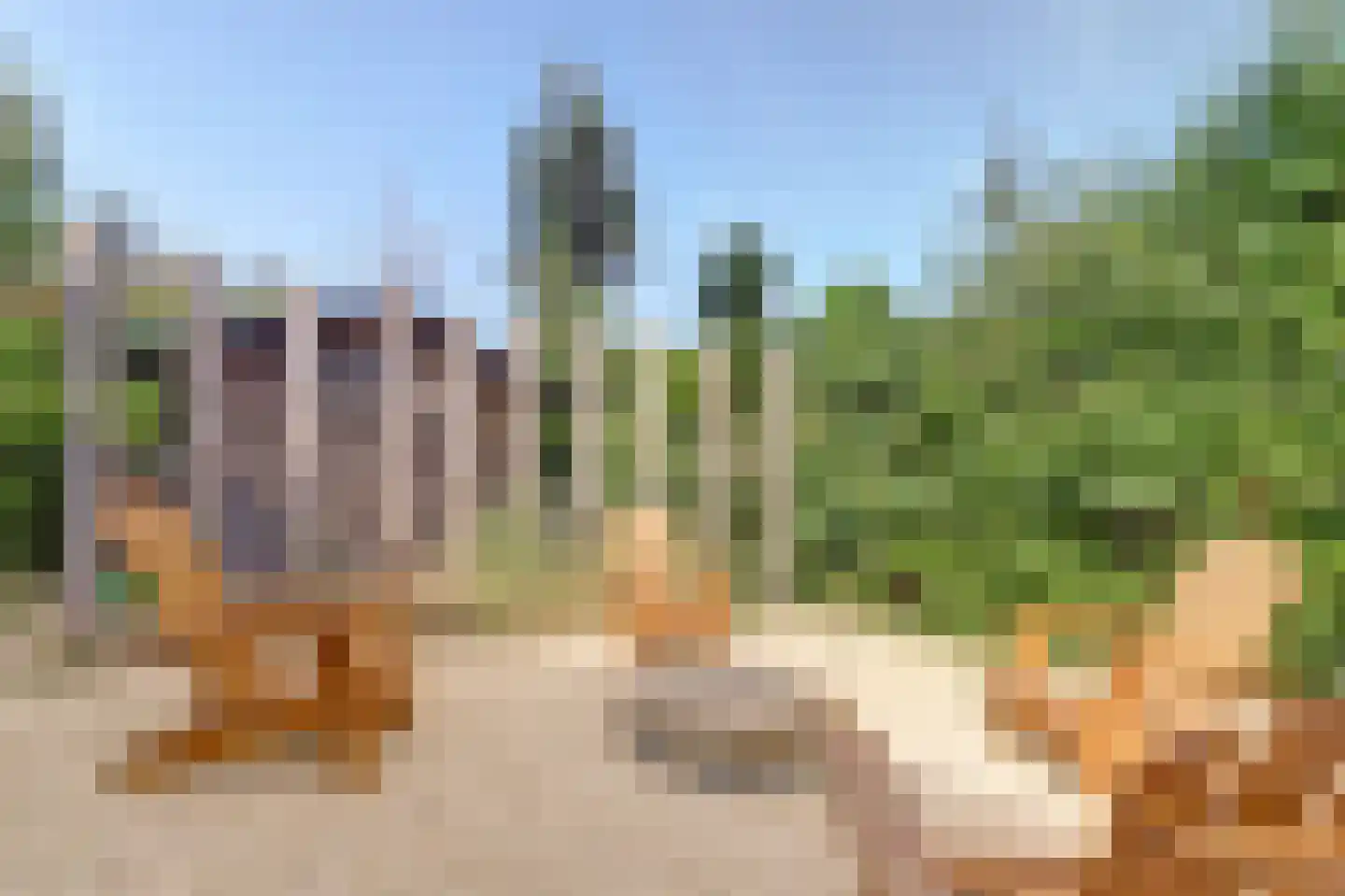 Speenkruidwei 36 Kortgene thumbnail 36