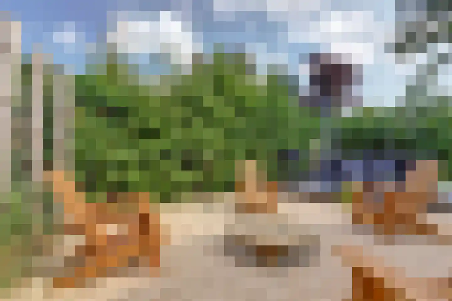 Speenkruidwei 36 Kortgene thumbnail 37