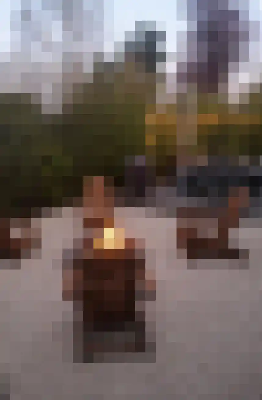 Speenkruidwei 36 Kortgene thumbnail 39