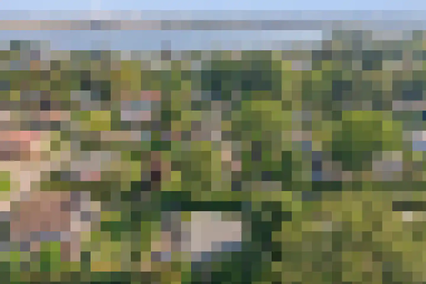 Speenkruidwei 36 Kortgene thumbnail 39