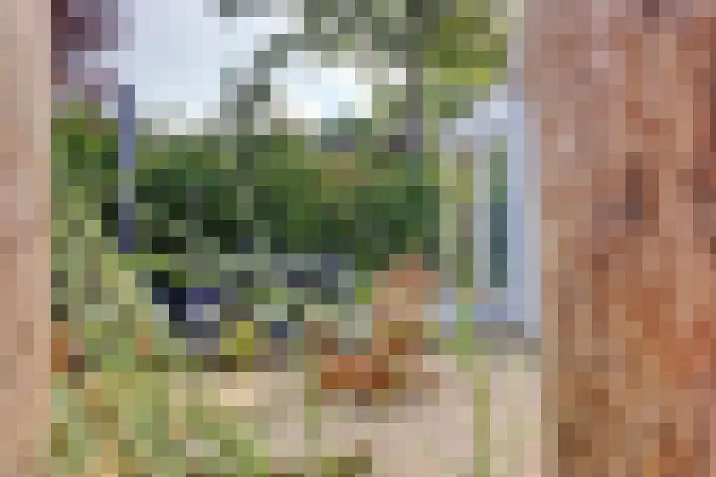 Speenkruidwei 36 Kortgene thumbnail 4