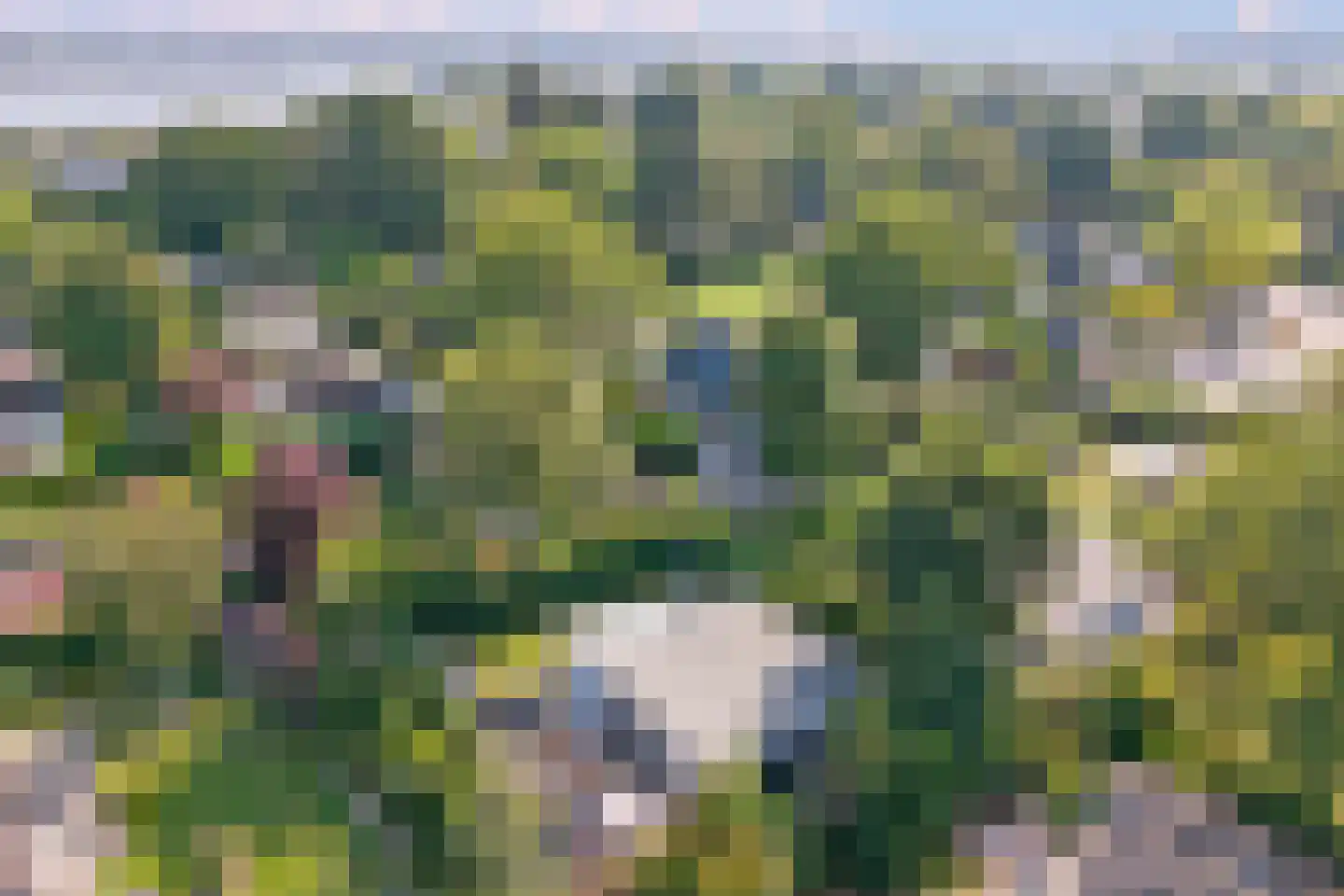 Speenkruidwei 36 Kortgene thumbnail 40