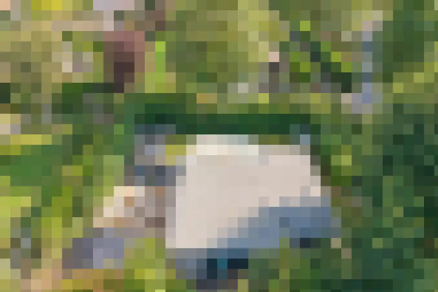 Speenkruidwei 36 Kortgene thumbnail 41