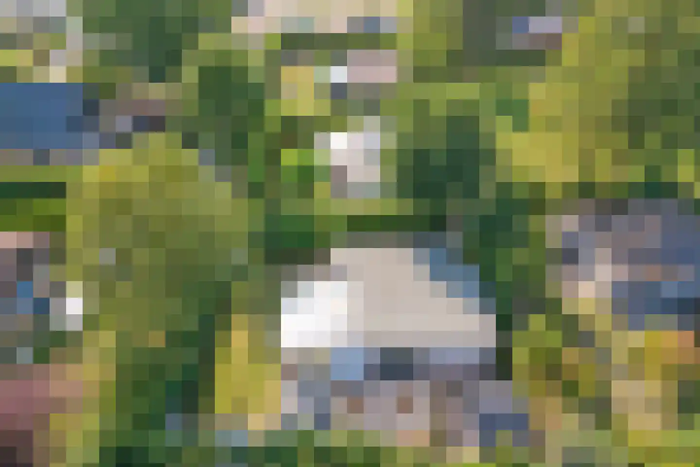 Speenkruidwei 36 Kortgene thumbnail 42