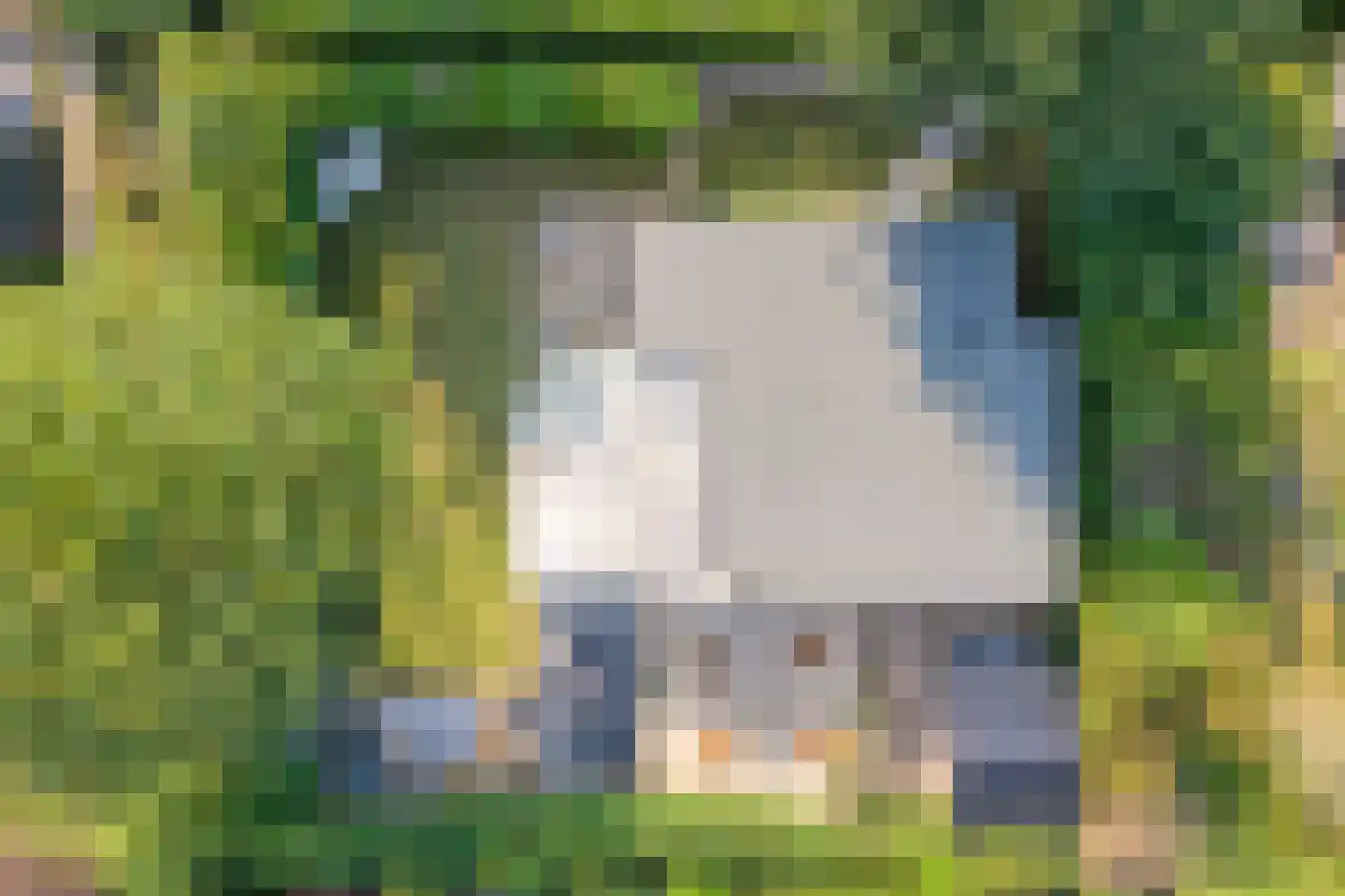 Speenkruidwei 36 Kortgene thumbnail 43