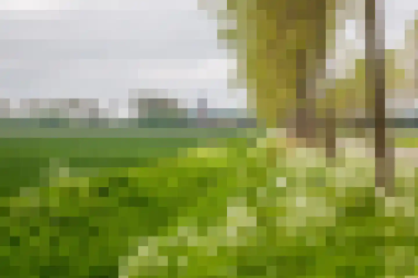 Speenkruidwei 36 Kortgene thumbnail 44