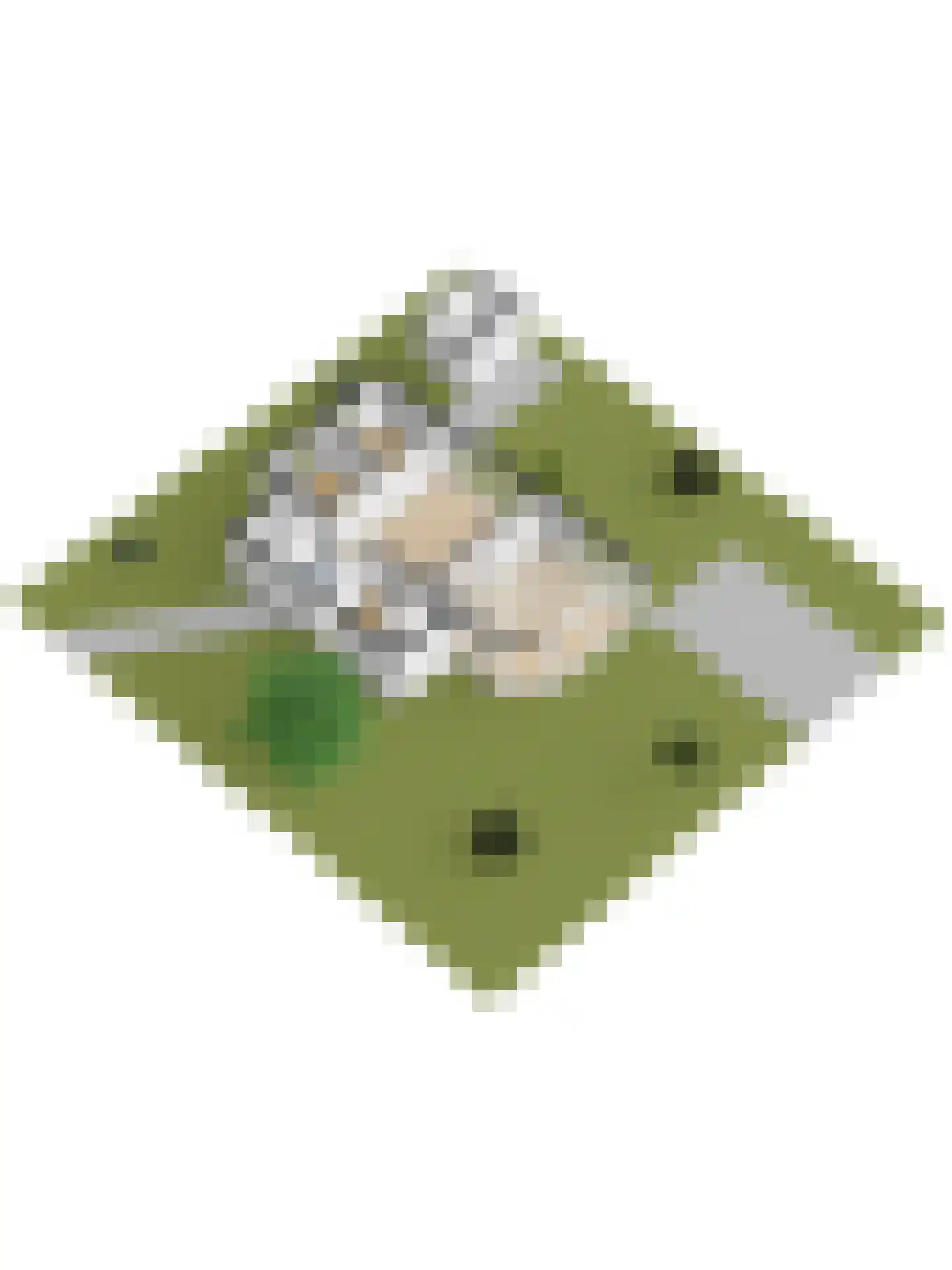 Speenkruidwei 36 Kortgene thumbnail 56