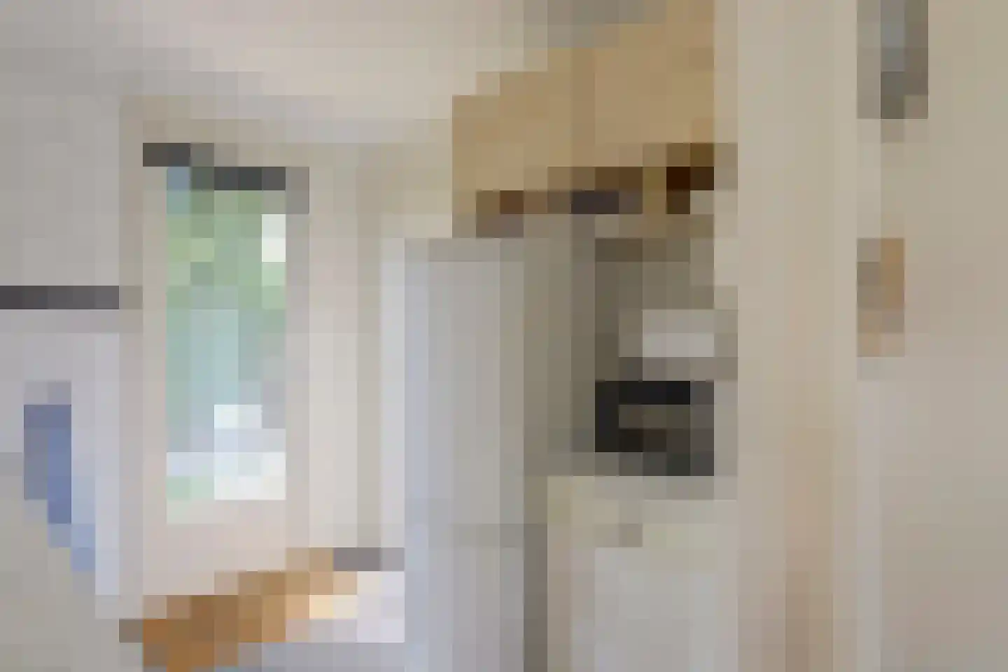 Speenkruidwei 36 Kortgene thumbnail 9