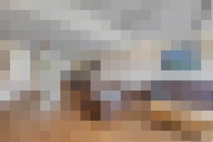Speerdistel 12 Oudkarspel thumbnail 11