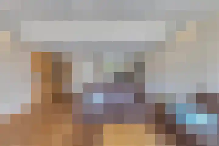 Speerdistel 12 Oudkarspel thumbnail 12