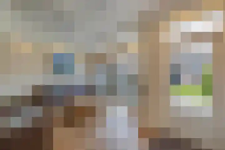 Speerdistel 12 Oudkarspel thumbnail 14