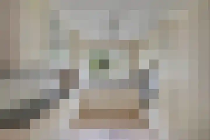 Speerdistel 12 Oudkarspel thumbnail 16