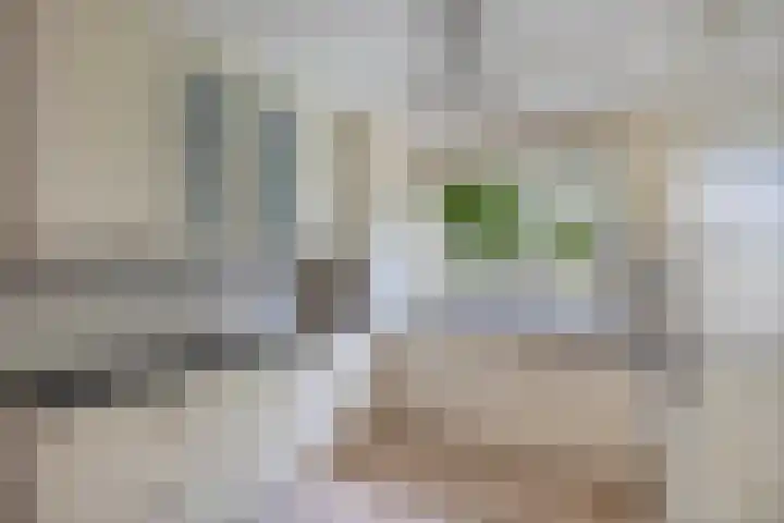 Speerdistel 12 Oudkarspel thumbnail 17