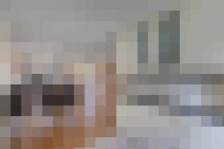 Speerdistel 12 Oudkarspel thumbnail 19