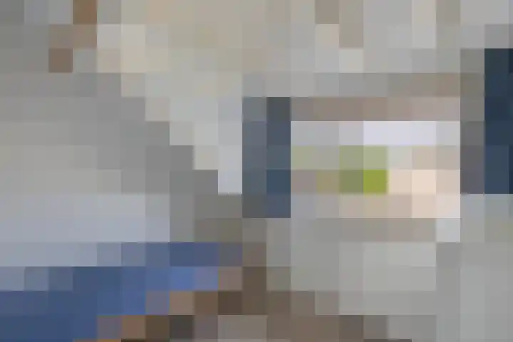 Speerdistel 12 Oudkarspel thumbnail 36