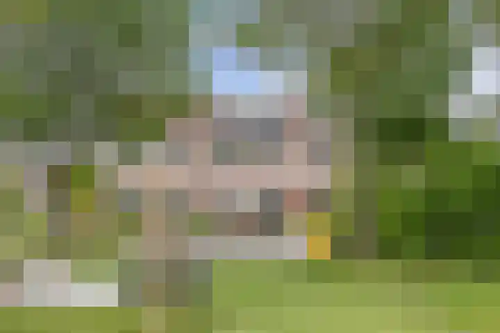 Speerdistel 12 Oudkarspel thumbnail 4