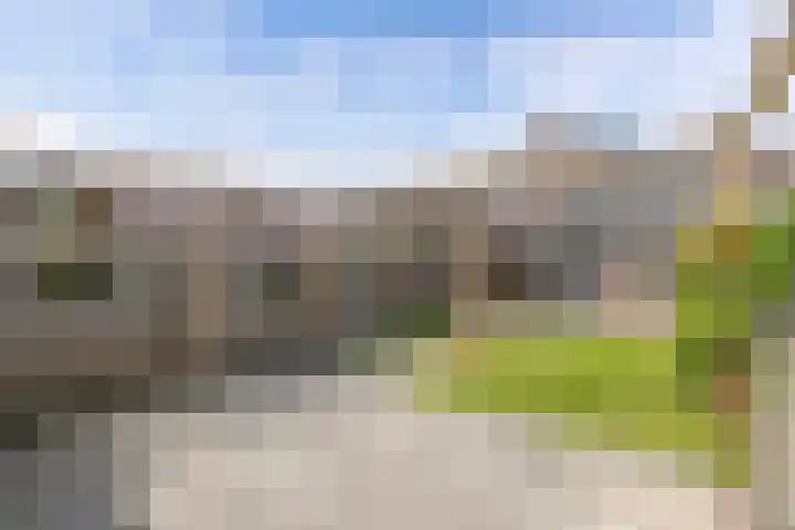 Speerdistel 12 Oudkarspel thumbnail 42