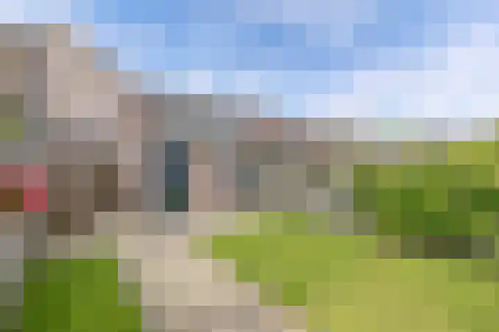 Speerdistel 12 Oudkarspel thumbnail 44