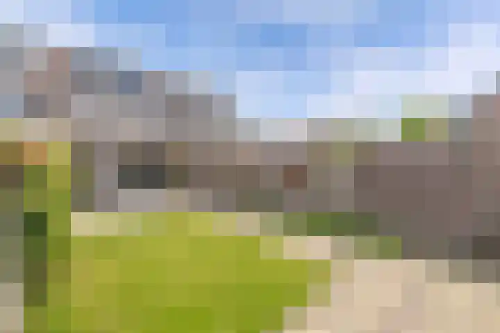 Speerdistel 12 Oudkarspel thumbnail 46