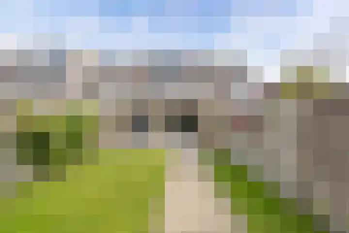 Speerdistel 12 Oudkarspel thumbnail 52