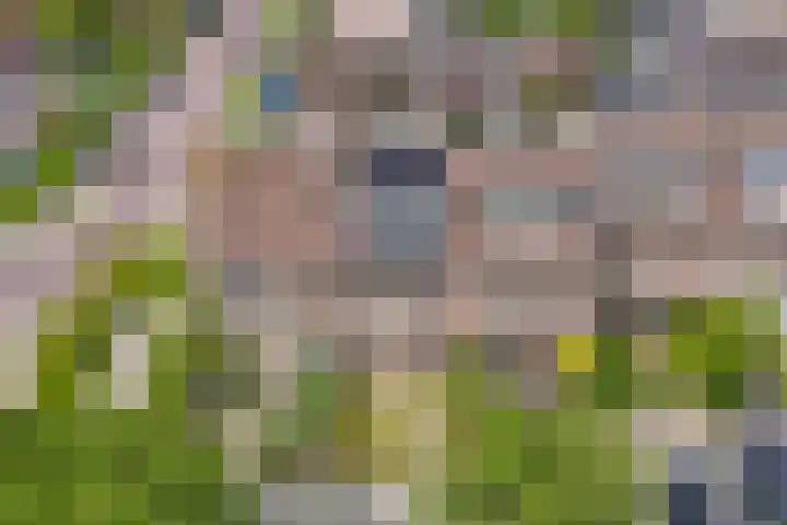 Speerdistel 12 Oudkarspel thumbnail 7