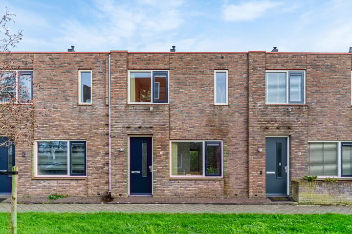 Speerdistel 4 in De Meern Foto