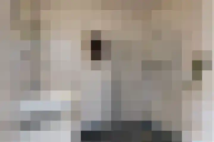 Speerdistel 4 De Meern thumbnail 22