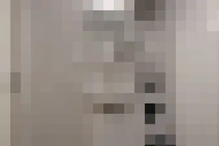 Speerdistel 4 De Meern thumbnail 24