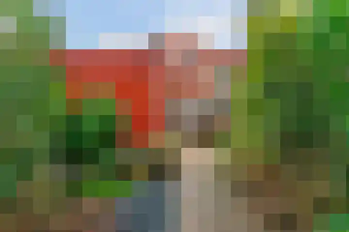 Speerdistel 4 De Meern thumbnail 26