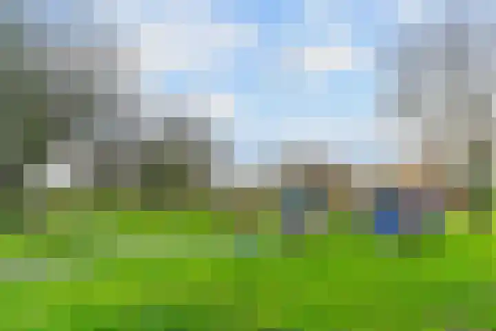 Speerdistel 4 De Meern thumbnail 31