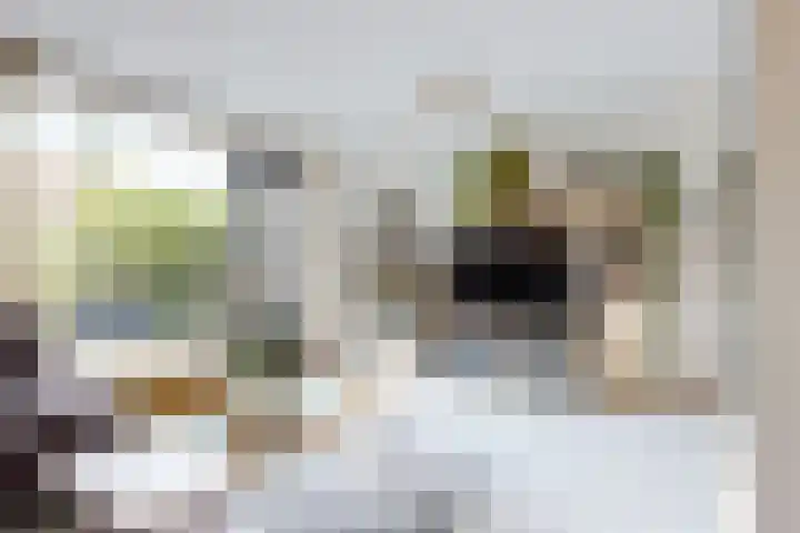 Speerdistel 4 De Meern thumbnail 6