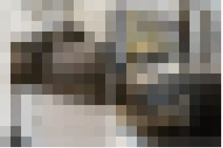 Speerdistel 7 De Meern thumbnail 10