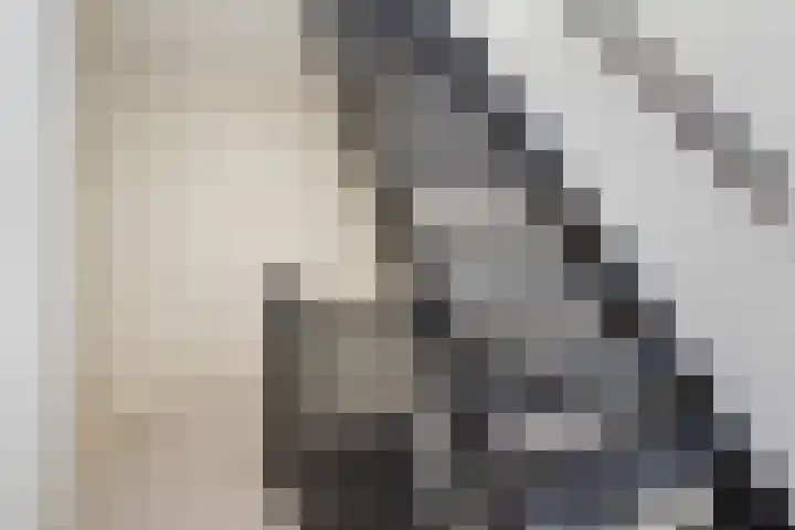Speerdistel 7 De Meern thumbnail 11