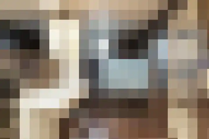 Speerdistel 7 De Meern thumbnail 15