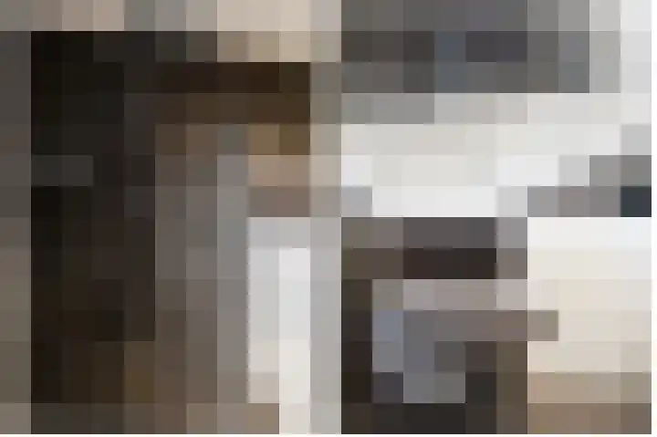 Speerdistel 7 De Meern thumbnail 16