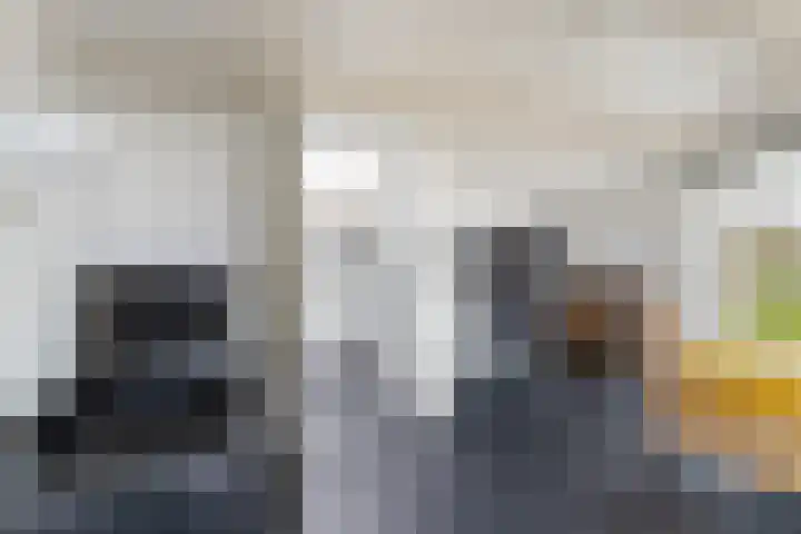 Speerdistel 7 De Meern thumbnail 18
