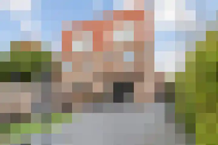 Speerdistel 7 De Meern thumbnail 20