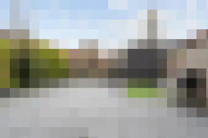 Speerdistel 7 De Meern thumbnail 21