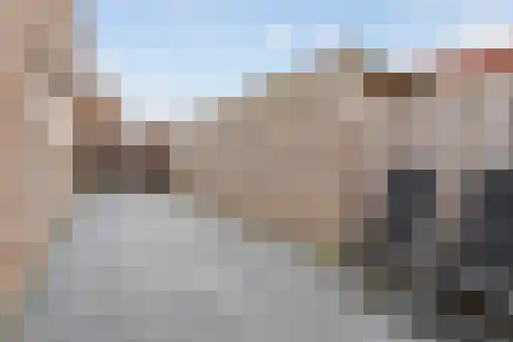 Speerdistel 7 De Meern thumbnail 22
