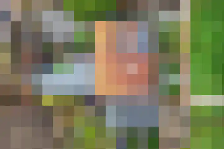 Speerdistel 7 De Meern thumbnail 23