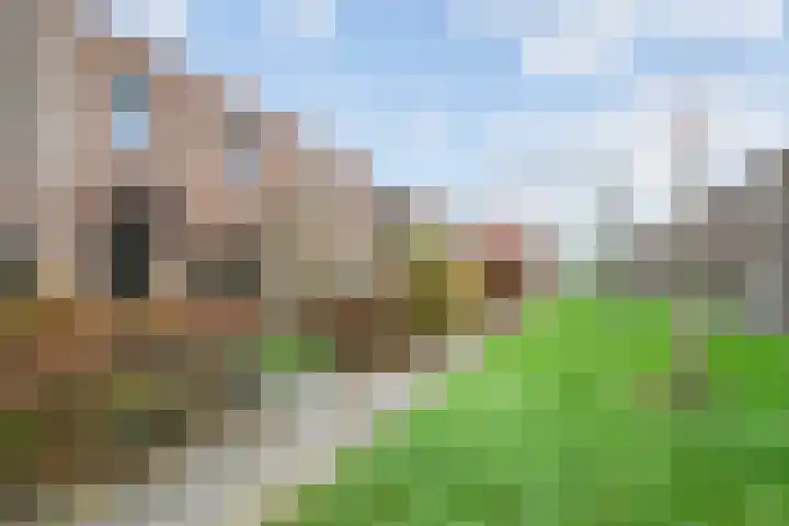 Speerdistel 7 De Meern thumbnail 24