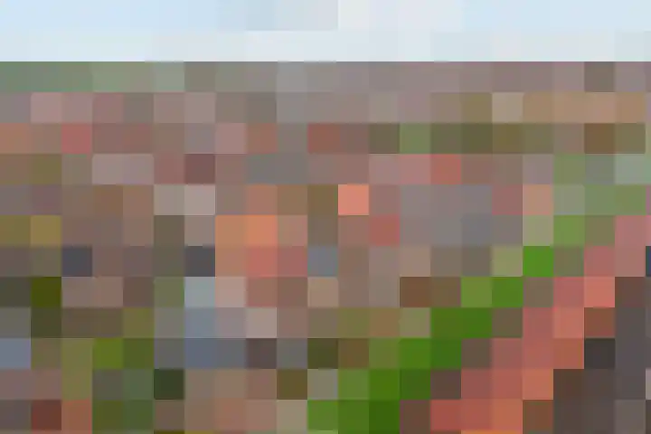 Speerdistel 7 De Meern thumbnail 25